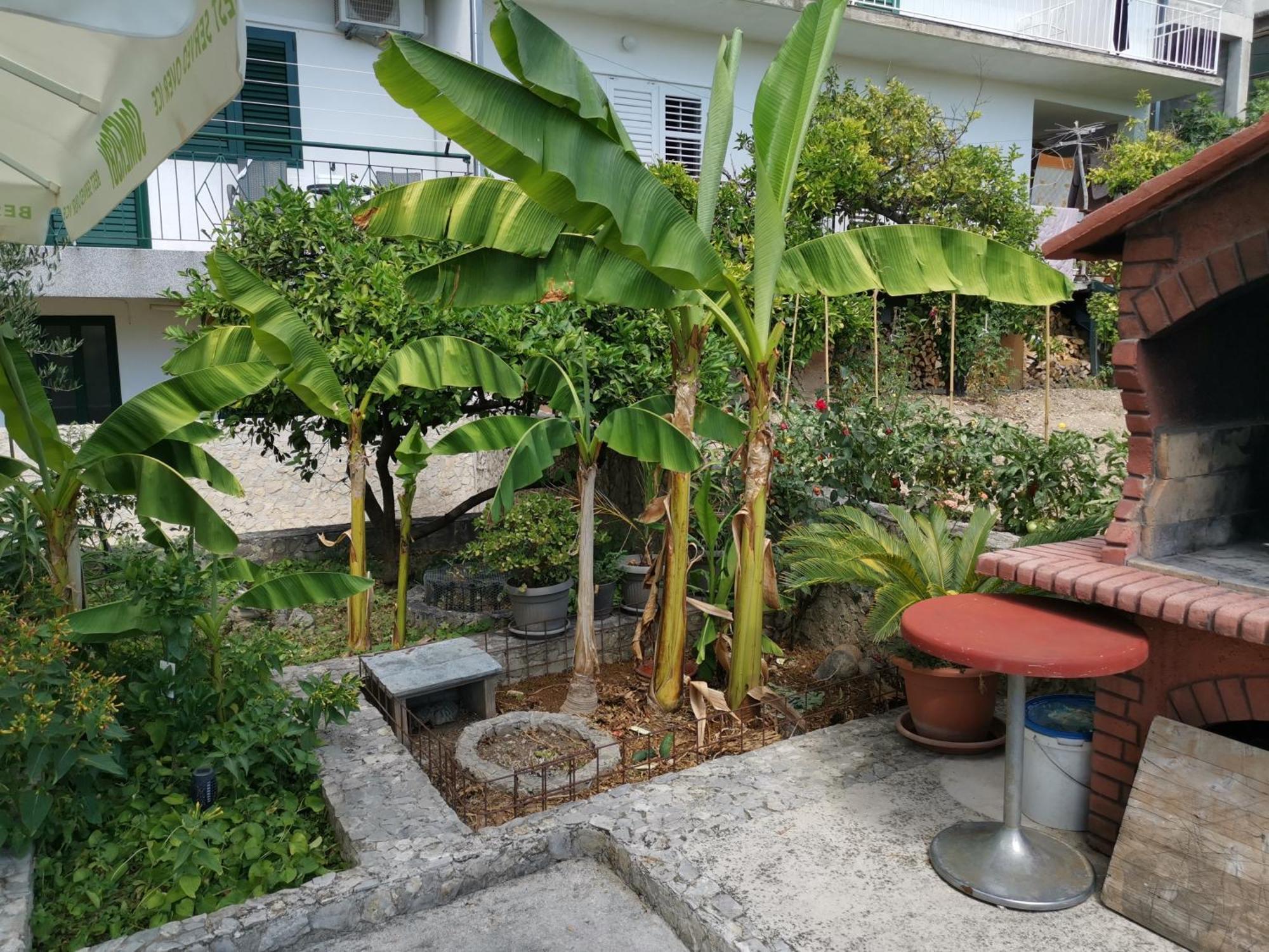 Apartmani Rudelj มาคาร์สกา ภายนอก รูปภาพ